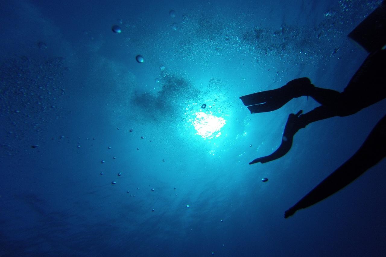 Immersioni e Snorkeling