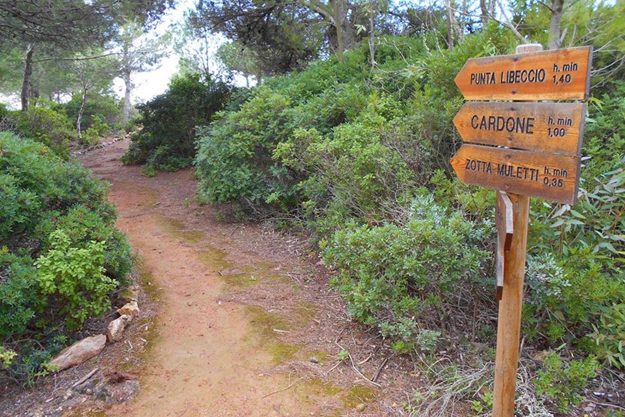 Trekking a Marettimo