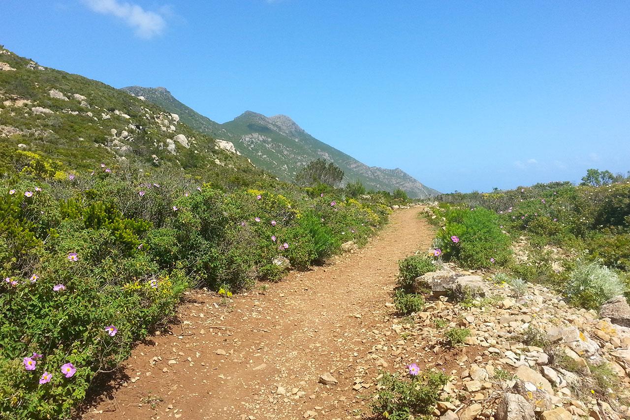 Trekking a Marettimo